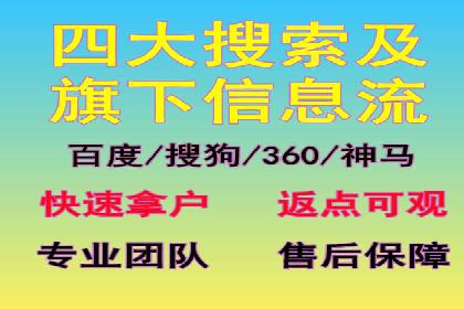网络推广与竞价策略实战案例